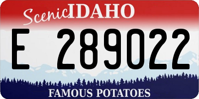 ID license plate E289022