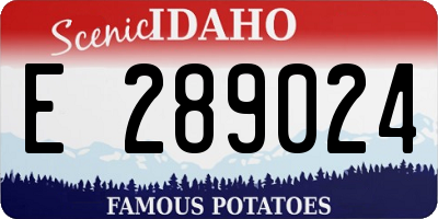 ID license plate E289024