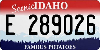 ID license plate E289026