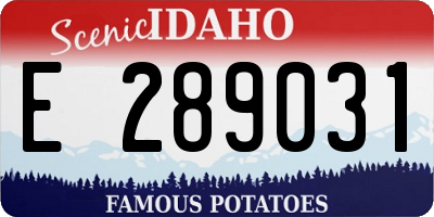 ID license plate E289031