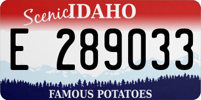 ID license plate E289033