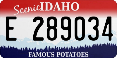 ID license plate E289034