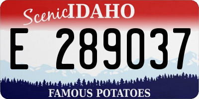 ID license plate E289037