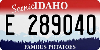 ID license plate E289040