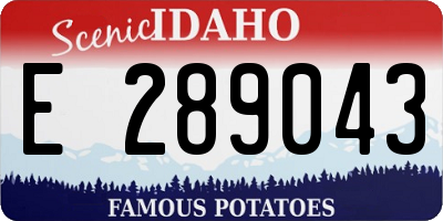 ID license plate E289043