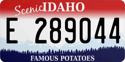 ID license plate E289044