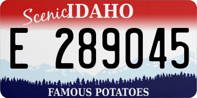 ID license plate E289045