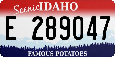 ID license plate E289047