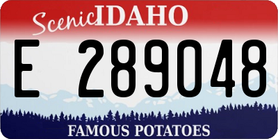 ID license plate E289048
