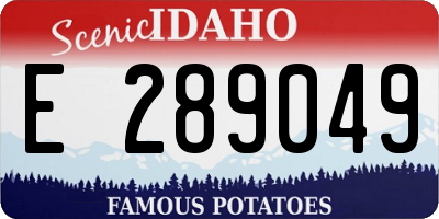 ID license plate E289049