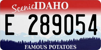 ID license plate E289054