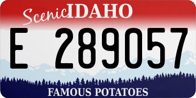ID license plate E289057