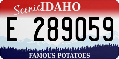 ID license plate E289059