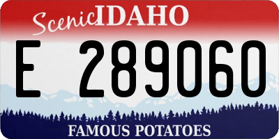 ID license plate E289060