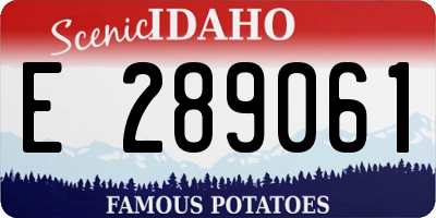 ID license plate E289061