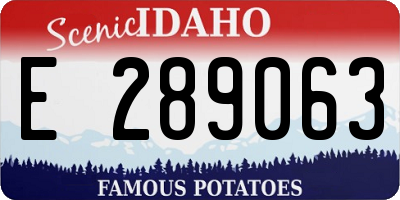 ID license plate E289063