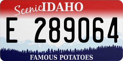 ID license plate E289064