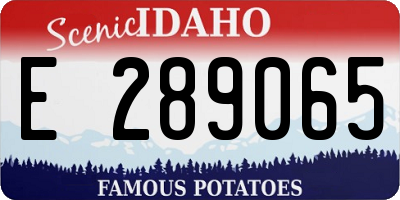 ID license plate E289065