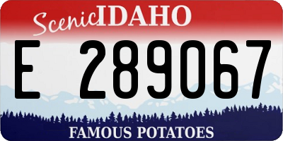ID license plate E289067