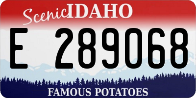 ID license plate E289068