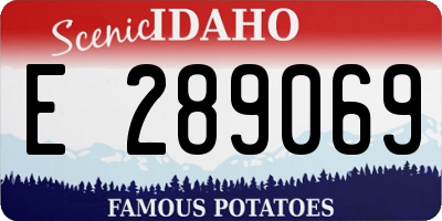 ID license plate E289069