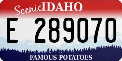 ID license plate E289070