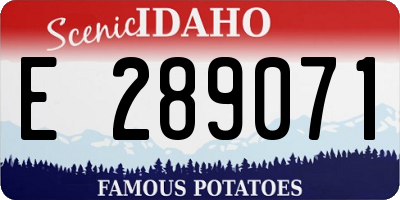 ID license plate E289071