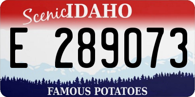 ID license plate E289073