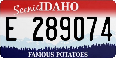 ID license plate E289074