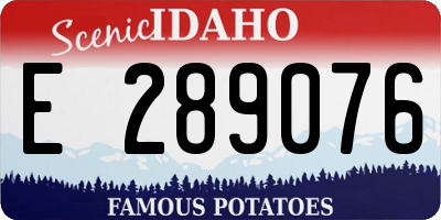ID license plate E289076