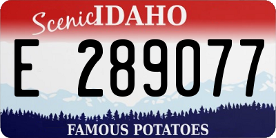 ID license plate E289077