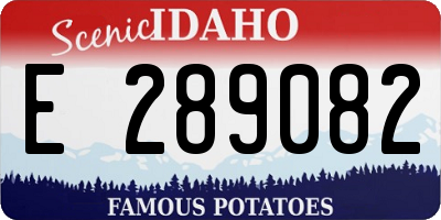 ID license plate E289082
