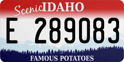 ID license plate E289083