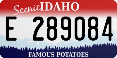 ID license plate E289084