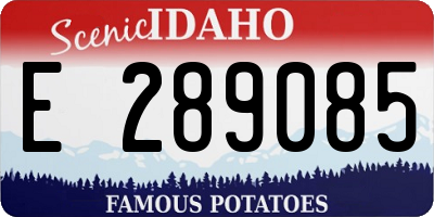 ID license plate E289085