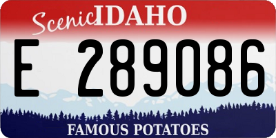ID license plate E289086