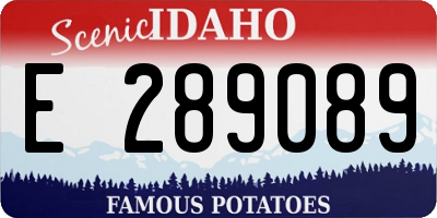 ID license plate E289089