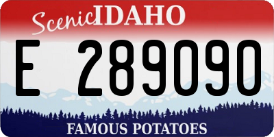 ID license plate E289090