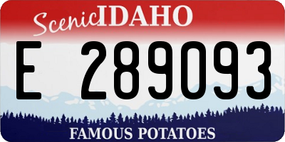 ID license plate E289093
