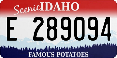 ID license plate E289094