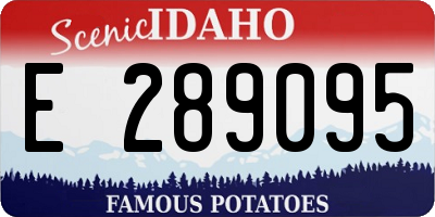 ID license plate E289095
