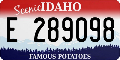 ID license plate E289098