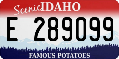 ID license plate E289099