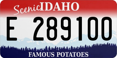 ID license plate E289100