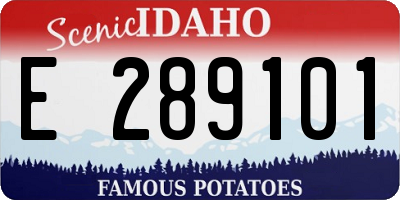 ID license plate E289101