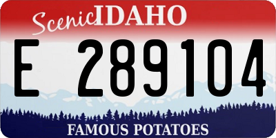 ID license plate E289104