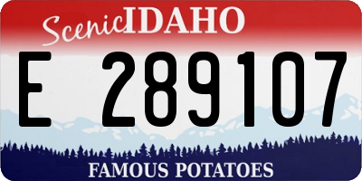 ID license plate E289107