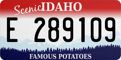 ID license plate E289109