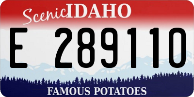 ID license plate E289110
