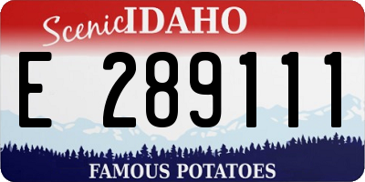 ID license plate E289111